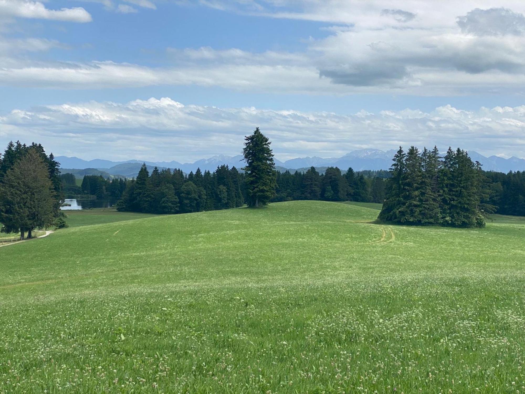"Allgaeu-Herzl" Alpenchalet Fuer Zwei Ruckholz Eksteriør billede